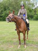 Image 15 in BERGH APTON HORSE SHOW. PART TWO.