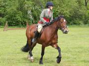 Image 17 in BERGH APTON HORSE SHOW. PART TWO.