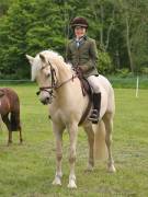 Image 19 in BERGH  APTON  HORSE  SHOW.  PART  TWO.
