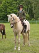 Image 19 in BERGH APTON HORSE SHOW. PART TWO.