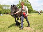 Image 22 in BERGH APTON HORSE SHOW. PART TWO.
