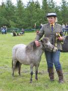 Image 23 in BERGH APTON HORSE SHOW. PART TWO.