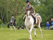 Image 28 in BERGH APTON HORSE SHOW. PART TWO.