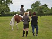Image 29 in BERGH APTON HORSE SHOW. PART TWO.