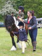 Image 31 in BERGH APTON HORSE SHOW. PART TWO.