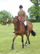 Image 32 in BERGH  APTON  HORSE  SHOW.  PART  TWO.