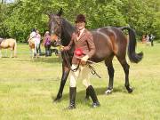 Image 34 in BERGH  APTON  HORSE  SHOW.  PART  TWO.