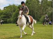 Image 35 in BERGH APTON HORSE SHOW. PART TWO.