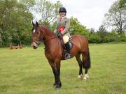 Image 7 in BERGH APTON HORSE SHOW. PART TWO.