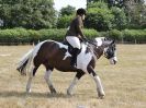 Image 10 in SUFFOLK RIDING CLUB. 4 AUGUST 2018. A FEW FROM THE DRESSAGE RING