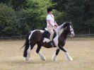 Image 3 in SUFFOLK RIDING CLUB. 4 AUGUST 2018. A FEW FROM THE DRESSAGE RING