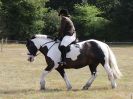 Image 9 in SUFFOLK RIDING CLUB. 4 AUGUST 2018. A FEW FROM THE DRESSAGE RING