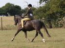 SUFFOLK RIDING CLUB. 4 AUGUST 2018. SHOWING RINGS