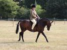 Image 10 in SUFFOLK RIDING CLUB. 4 AUGUST 2018. SHOWING RINGS