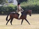 Image 13 in SUFFOLK RIDING CLUB. 4 AUGUST 2018. SHOWING RINGS