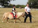 Image 15 in SUFFOLK RIDING CLUB. 4 AUGUST 2018. SHOWING RINGS
