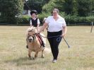 Image 18 in SUFFOLK RIDING CLUB. 4 AUGUST 2018. SHOWING RINGS