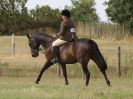 Image 2 in SUFFOLK RIDING CLUB. 4 AUGUST 2018. SHOWING RINGS