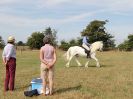 Image 21 in SUFFOLK RIDING CLUB. 4 AUGUST 2018. SHOWING RINGS