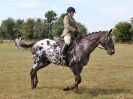 Image 47 in SUFFOLK RIDING CLUB. 4 AUGUST 2018. SHOWING RINGS