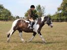 Image 49 in SUFFOLK RIDING CLUB. 4 AUGUST 2018. SHOWING RINGS