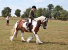 Image 50 in SUFFOLK RIDING CLUB. 4 AUGUST 2018. SHOWING RINGS