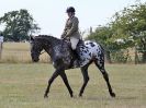 Image 53 in SUFFOLK RIDING CLUB. 4 AUGUST 2018. SHOWING RINGS