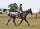 Image 54 in SUFFOLK RIDING CLUB. 4 AUGUST 2018. SHOWING RINGS
