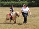 Image 59 in SUFFOLK RIDING CLUB. 4 AUGUST 2018. SHOWING RINGS