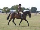 Image 8 in SUFFOLK RIDING CLUB. 4 AUGUST 2018. SHOWING RINGS