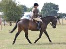 Image 9 in SUFFOLK RIDING CLUB. 4 AUGUST 2018. SHOWING RINGS