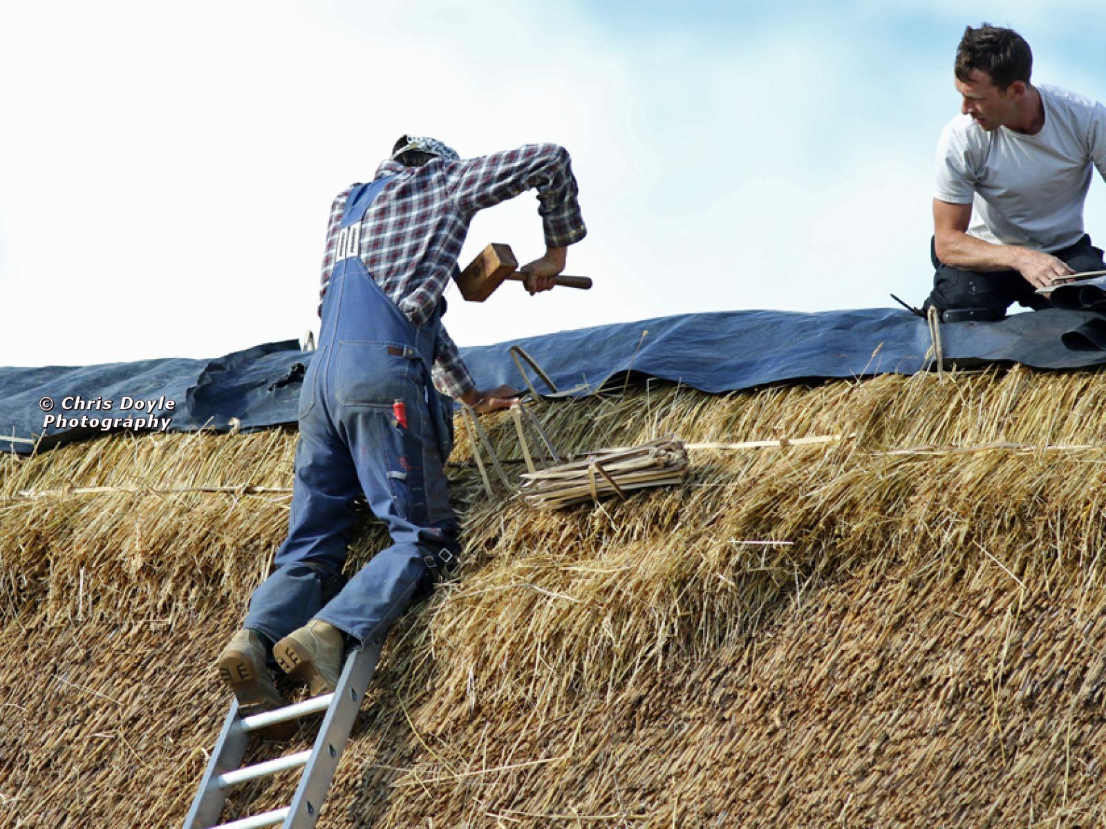 ST. EDMUNDS CHURCH KESSINGLAND. THE RE THATCHING EVENT.