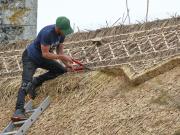 Image 100 in ST. EDMUNDS CHURCH KESSINGLAND. THE RE THATCHING EVENT.