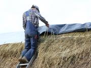 Image 19 in ST. EDMUNDS CHURCH KESSINGLAND. THE RE THATCHING EVENT.