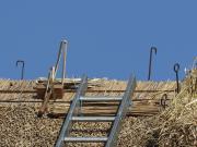 Image 3 in ST. EDMUNDS CHURCH KESSINGLAND. THE RE THATCHING EVENT.