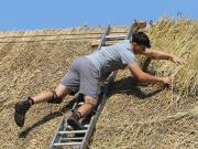 Image 4 in ST. EDMUNDS CHURCH KESSINGLAND. THE RE THATCHING EVENT.