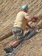 Image 63 in ST. EDMUNDS CHURCH KESSINGLAND. THE RE THATCHING EVENT.