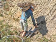 Image 67 in ST. EDMUNDS CHURCH KESSINGLAND. THE RE THATCHING EVENT.