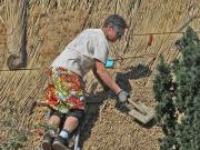 Image 74 in ST. EDMUNDS CHURCH KESSINGLAND. THE RE THATCHING EVENT.