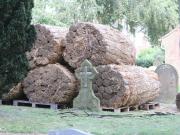 Image 90 in ST. EDMUNDS CHURCH KESSINGLAND. THE RE THATCHING EVENT.