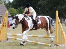 Image 38 in SUFFOLK RIDING CLUB. ANNUAL SHOW. 4 AUGUST 2018. SHOW JUMPING.