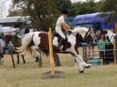Image 44 in SUFFOLK RIDING CLUB. ANNUAL SHOW. 4 AUGUST 2018. SHOW JUMPING.