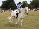 Image 49 in SUFFOLK RIDING CLUB. ANNUAL SHOW. 4 AUGUST 2018. SHOW JUMPING.