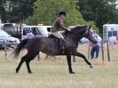 Image 62 in SUFFOLK RIDING CLUB. ANNUAL SHOW. 4 AUGUST 2018. SHOW JUMPING.