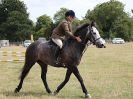 Image 65 in SUFFOLK RIDING CLUB. ANNUAL SHOW. 4 AUGUST 2018. SHOW JUMPING.