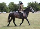 Image 66 in SUFFOLK RIDING CLUB. ANNUAL SHOW. 4 AUGUST 2018. SHOW JUMPING.