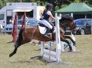 Image 7 in SUFFOLK RIDING CLUB. ANNUAL SHOW. 4 AUGUST 2018. SHOW JUMPING.