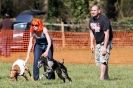 Image 13 in B.S.F.A MARCH 2012 BORZOI GREYHOUND DEERHOUND AND OTHERS