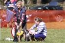 Image 30 in B. S .F .A MARCH 2012 THE WHIPPETS.