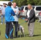 Image 47 in HONEY HILLS OPEN (WHIPPET RACING) MAY 2011